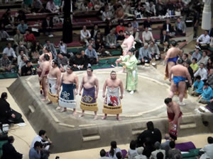 Sumo Tournament